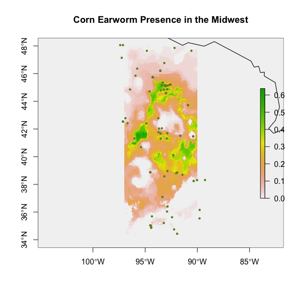 corn_earworm