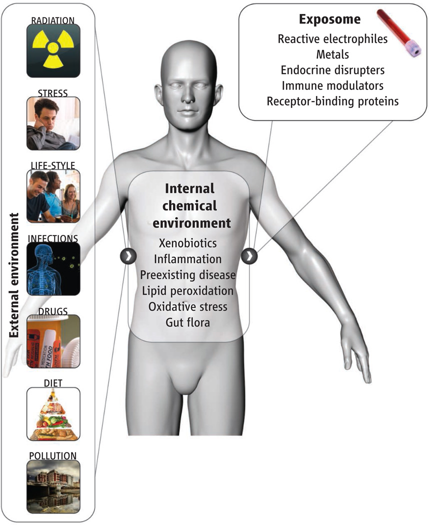 exposome diagram