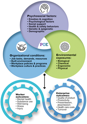 About the POE Center 