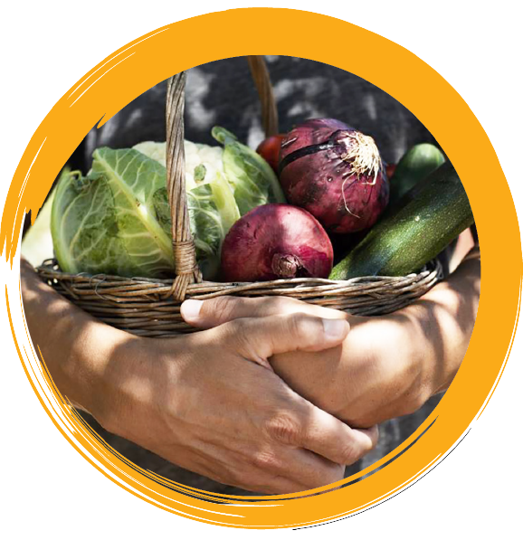 person holding basket of fresh vegetables