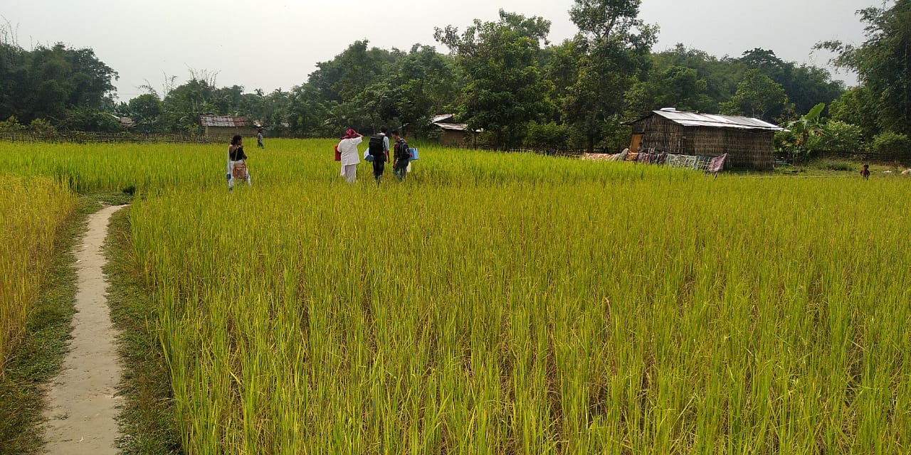 Health workers transport serosurveillance tools in India