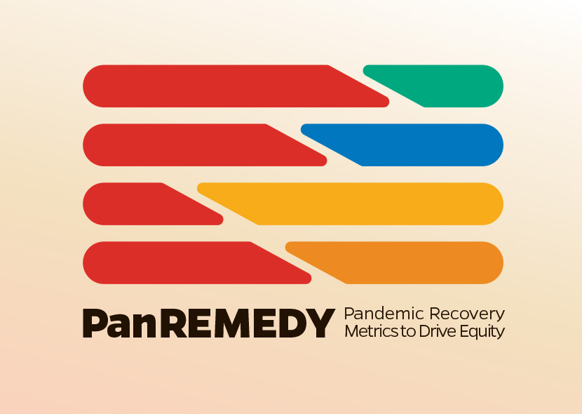 PanREMEDY: Guidelines for State and Local Leader