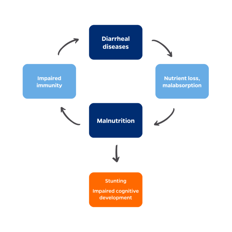 Diarrheal diseases and malnution cycle into each other and lead to stunting and impaired cognitive development