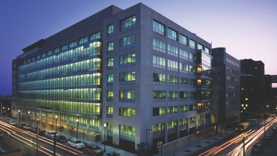 Building Wolfe Exterior Building Wolfe Exterior