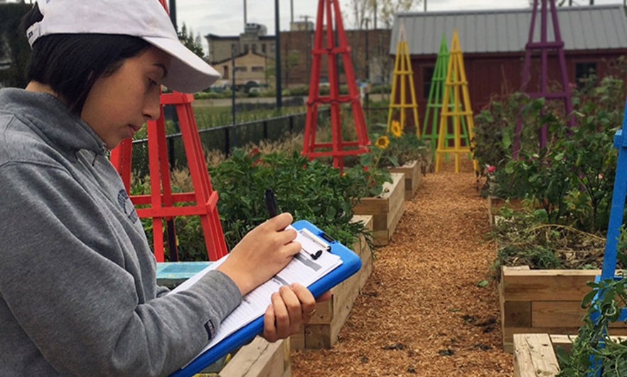 woman taking notes in urban farm