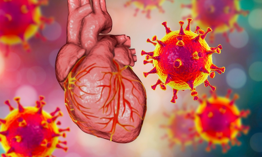 Illustration of a heart with COVID virus microbiomes floating around