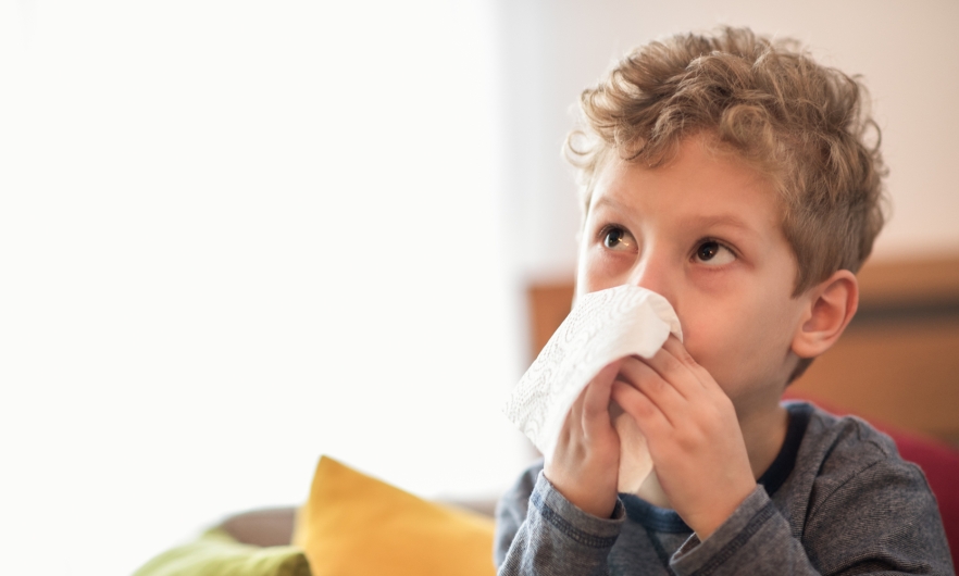 Small child blowing his nose