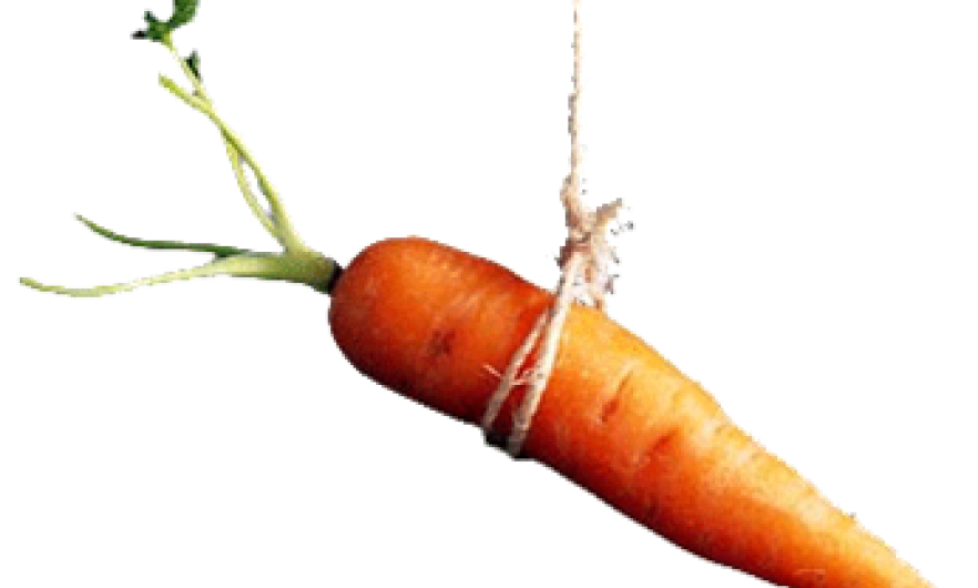 Carrot