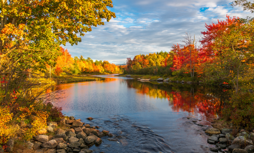 Fall Scenery 