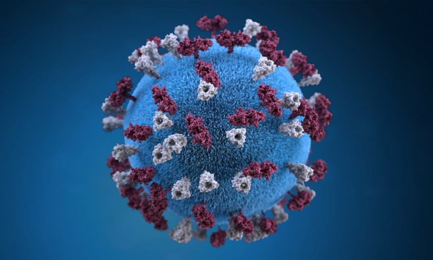 illustration of measles virus