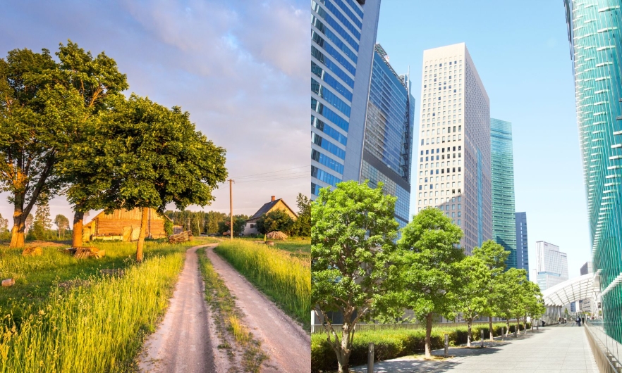 A photo of a tree among a field of grass and shirt road next to a photo of a line of trees by a paved road and skyscrapers
