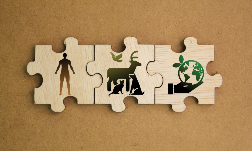 Three interlocking wooden puzzle pieces depicting, left to right, a human form, animals (deer, cat, dog, bird), and the environment (a hand holding a globe)