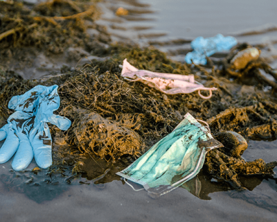 Disposed gloves and masks polluting a small body of water