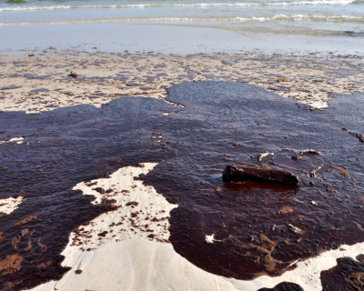 Oil on a beach