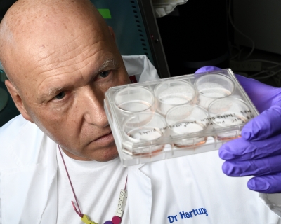 Thomas Hartung looking at samples on dishes