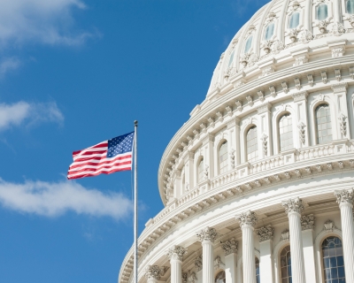 U.S. capitol building and flag photo