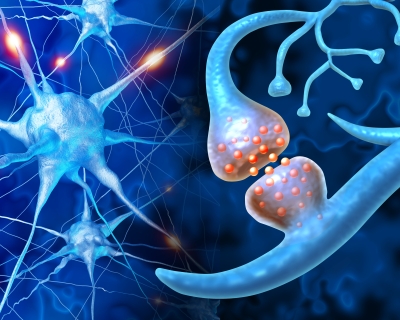 illustration of a brain synapse