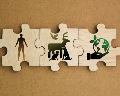 Three interlocking wooden puzzle pieces depicting, left to right, a human form, animals (deer, cat, dog, bird), and the environment (a hand holding a globe)