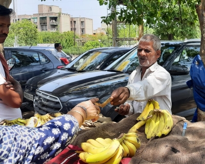 Extreme heat means few customers and little rest for Habib Khan, 65, a banana vendor outside Delhi.  Image: Swagata Yadavar