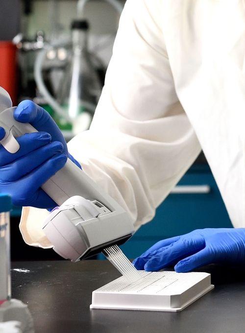 A person in a white lab coat and blue gloves uses a multichannel pipette at a lab bench