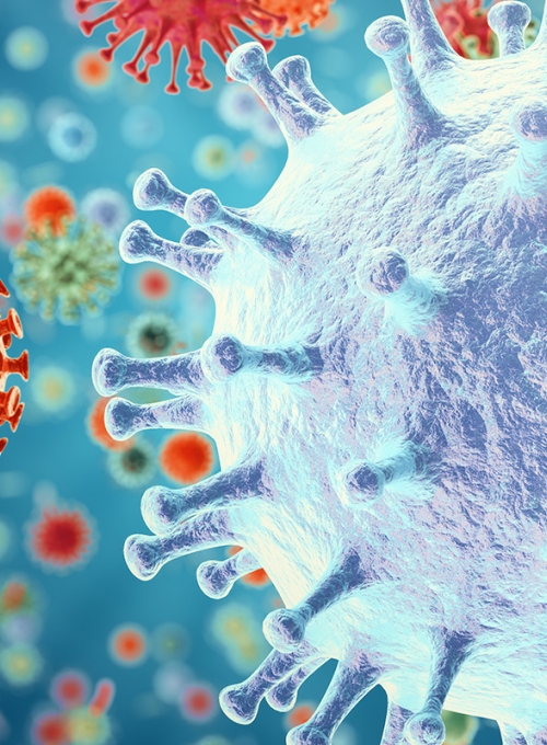 Influenza Virus H1N1. Swine Flu, infect organism, viral disease epidemic. 3d rendering By rost9