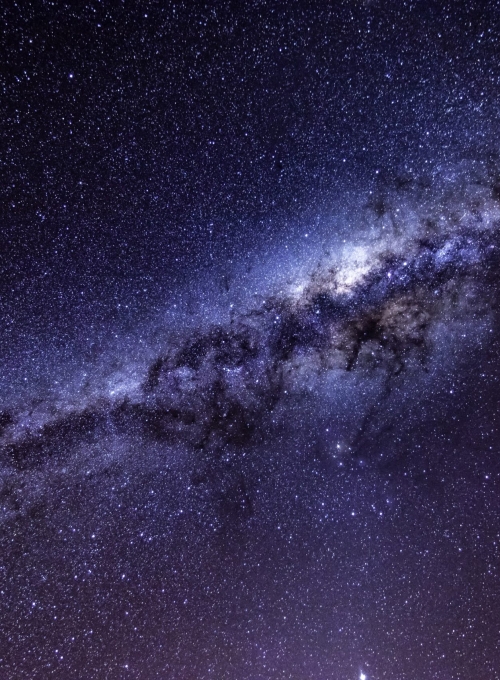 cosmos