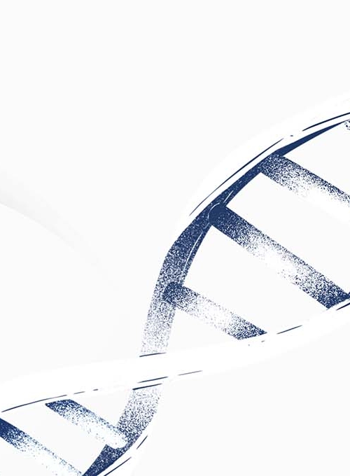 Johns Hopkins Malaria Research Banner Image - DNA