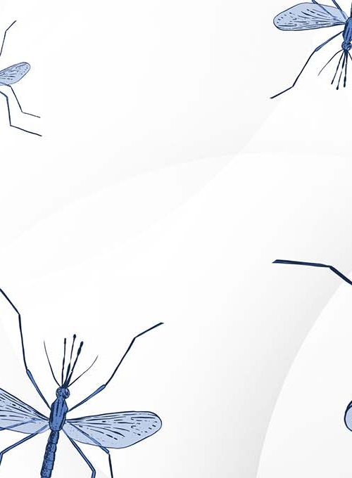 Johns Hopkins Malaria Research Institute - banner vectors