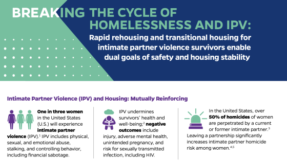 Housing_IPV_Brief_snapshot