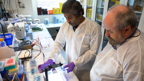 Two people work in a scientific lab