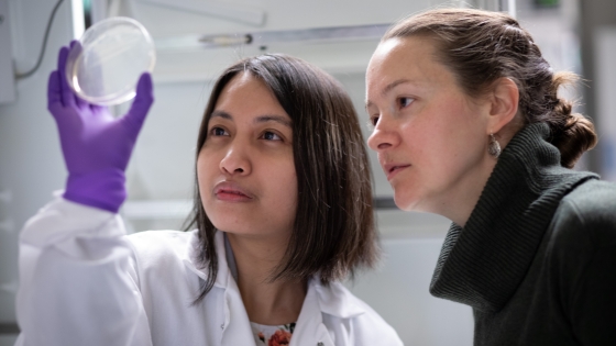 public-health-forward Two women in a lab looking at a microscope slide