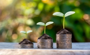 Three neat stacks of coins, each stack taller than the one before, with small plant sprouts growing from each