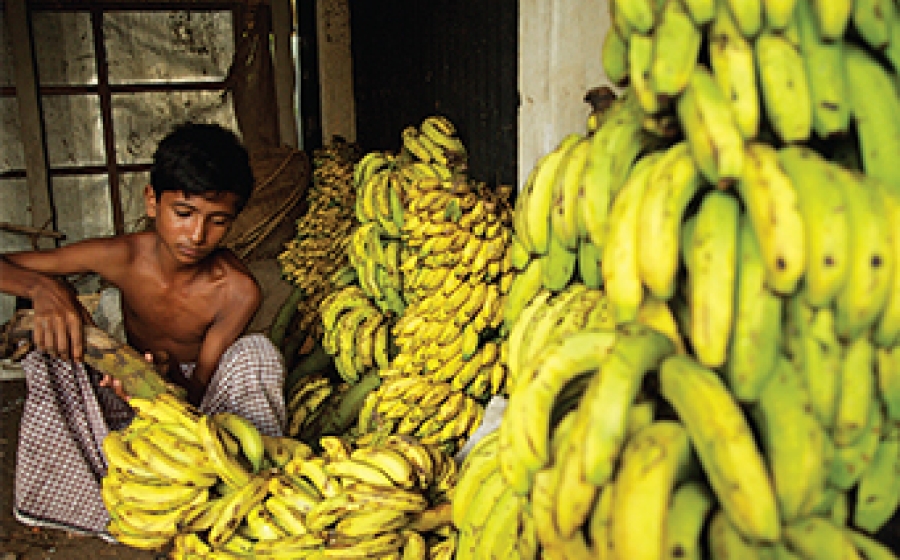 Now: Sustainability - Boy and Bananas