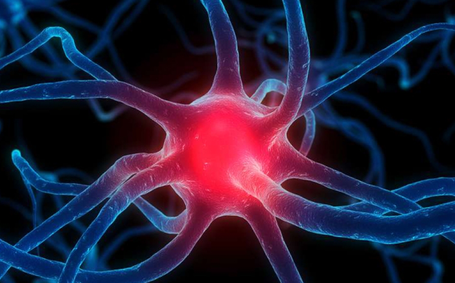 chronic-disease-etiology-prevention