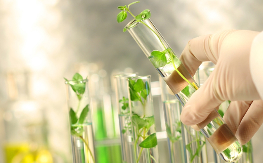 environmental-chemistry-microbiology-ecology