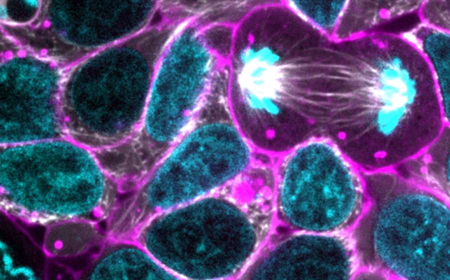 toxicology-physiology-cell-biology
