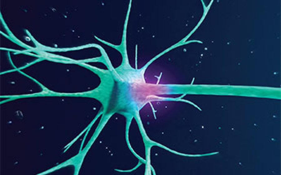 Now: A New Frontier - Proteins Must conform to a specific Three-dimensional Shape