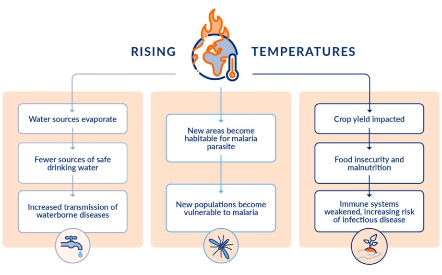 Flowchart of how rising temperatures impact human health