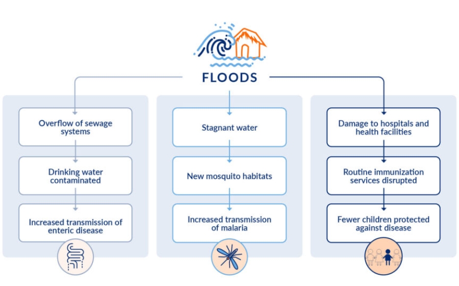 Flowchart of how floods impact human health