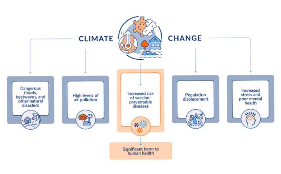 Flow chart showing impacts of climate on human health