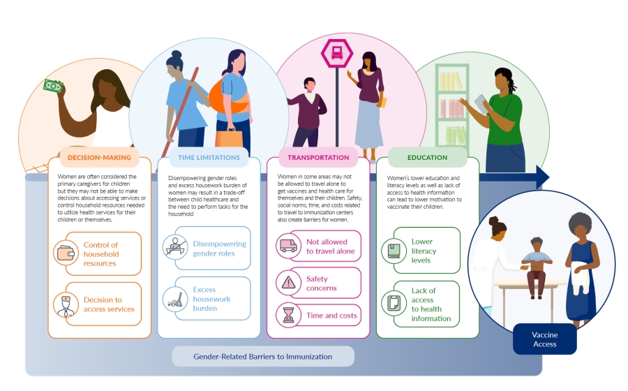 List of gender-related barriers to immunization: Decision-Making, Time Limitations, Transportation, Education