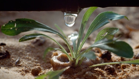 environmental resource quality