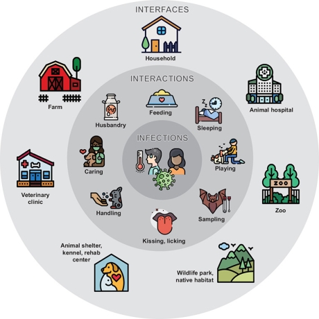 chais-diagram-2 chais-diagram-2