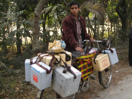 Photo of volunteer with bike loaded with coolers full of measles and polio vaccines