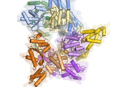 A colorful protein structure: a tube and wires model overlaid with a faint translucent space filling model.