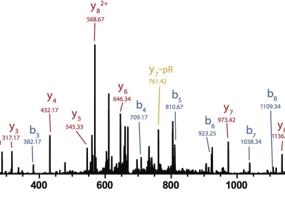 A mass spectrometry spectrum graph