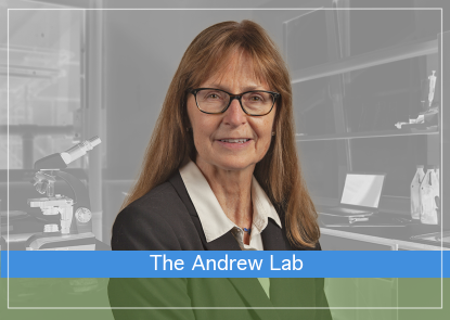 The-Andrew-Lab.png