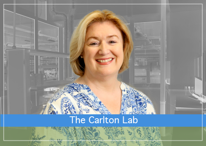 Jane Carlton, Director, JHMRI