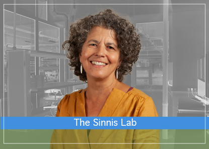 The-Sinnis-Lab.png