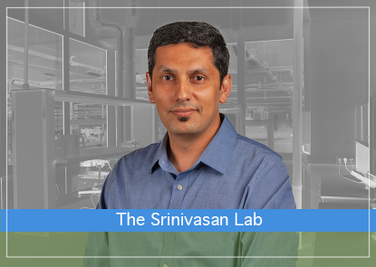 The-Srinivasan-Lab.png